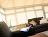 Pleated Blinds